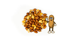 City Peanut Shop
