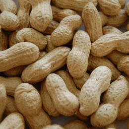 SALTED IN-SHELL PEANUTS (1LB)